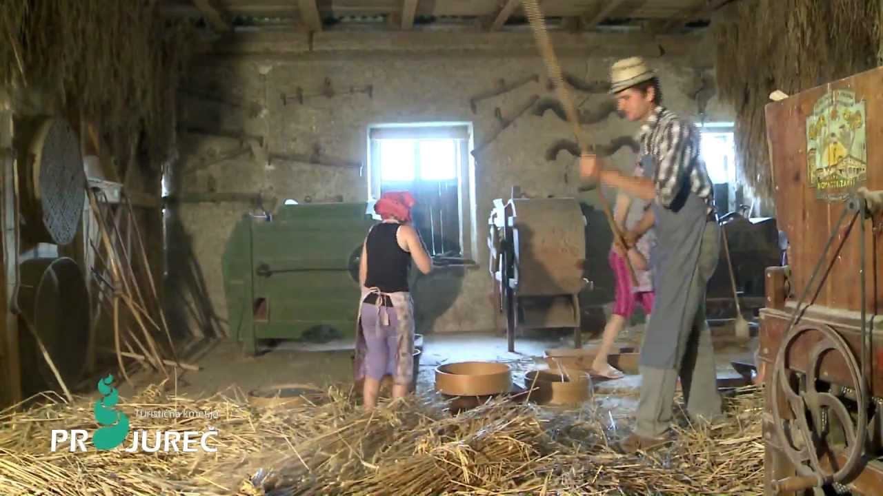 Turistična kmetija Pr'Jureč - V Ledinah sončece sije