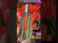 Andrea secret womens perfume someone like you super bango #andreasecret #womensperfume #perfume