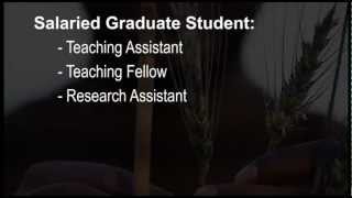 UNT System Insurance Benefits for Graduate Students