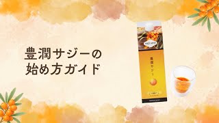 豊潤サジー初心者ガイド】届いたらやるべき4つのこと｜無理なく続ける