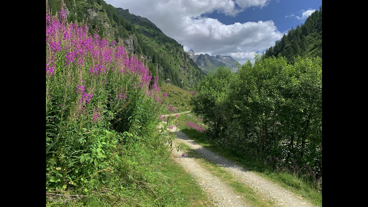 MTB OLIVONE - DIGA LUZZONE - CAPANNA ADULA