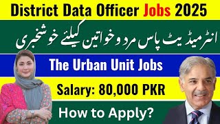 The Urban Unit Jobs 2025 Pakistan Today | District Data Officer Jobs | Salary Rs. 80,000 - Govt Jobs