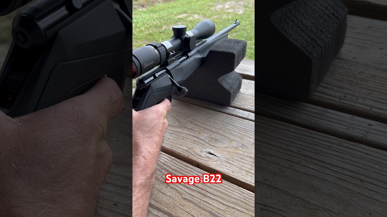 Savage B22 22 Mag