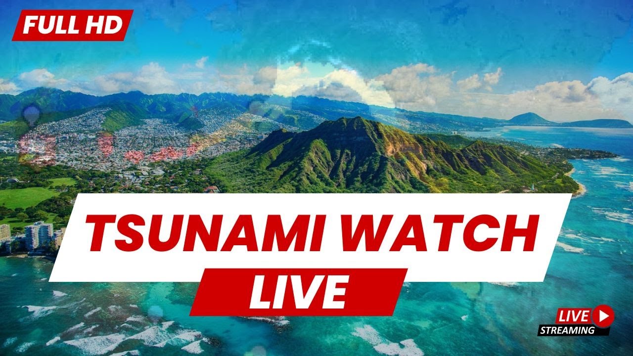 Hawaii Tsunami Live: Real-time HD Camera Feeds from the Islands