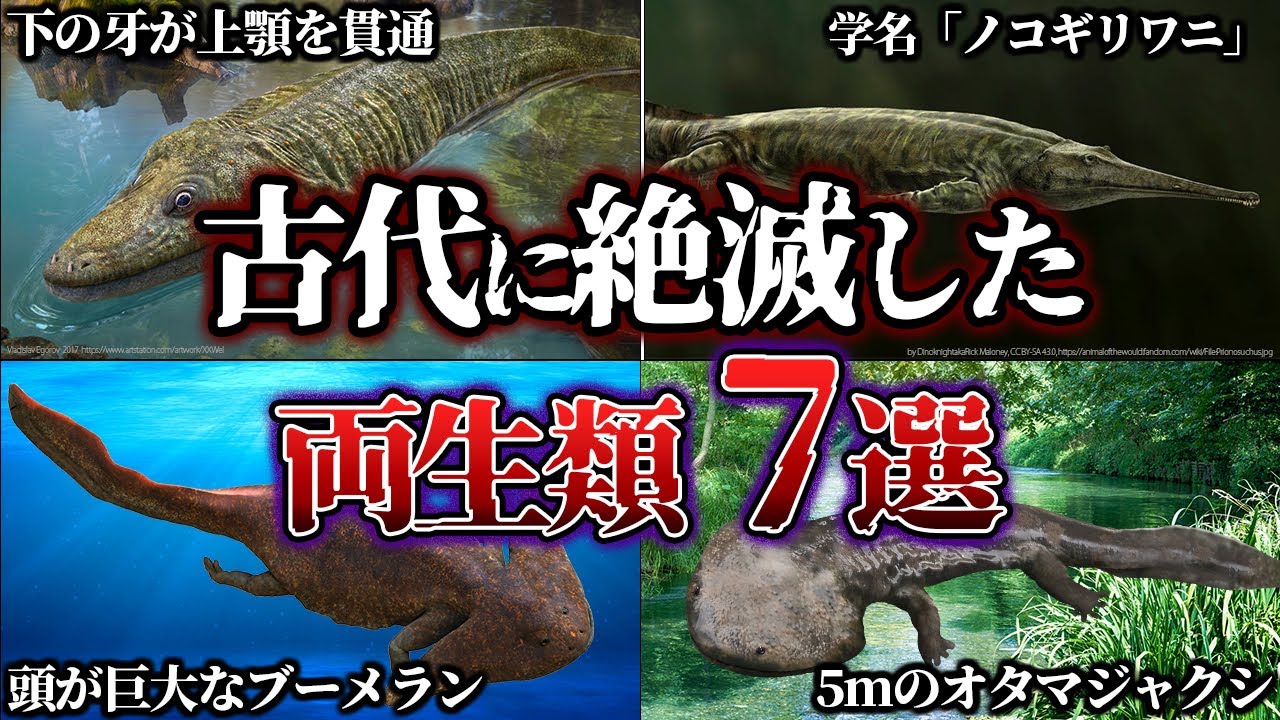 【ゆっくり解説】恐竜とは違う魅力満載！絶滅した古代の両生類