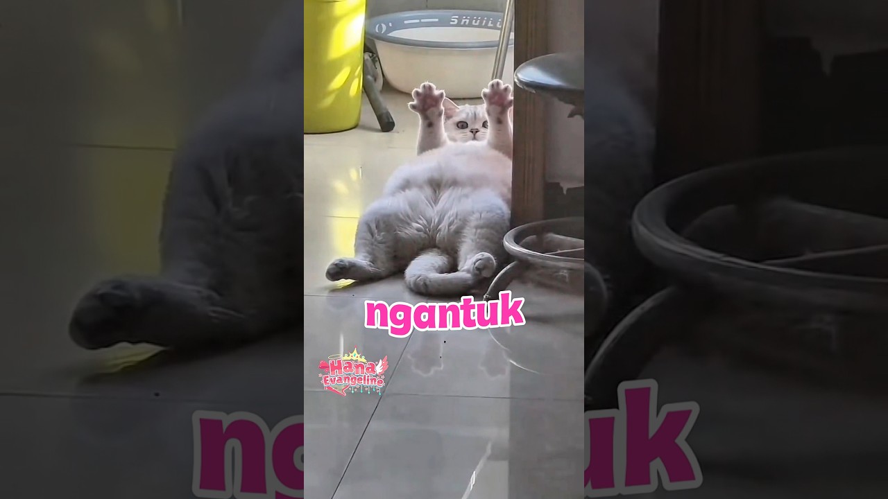 MASIH NGANTUK #shorts