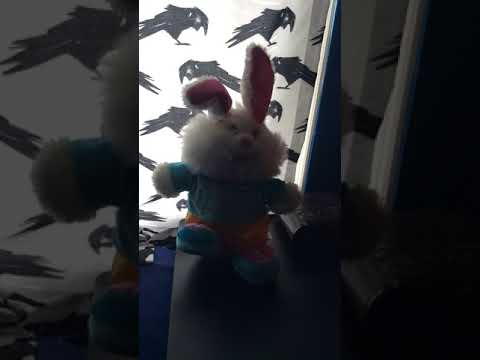 Dandee - Foot Tapin’ Bunny