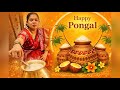 How We Celebrated Pongal in Our Apartment 🪔🌾 2026 | Traditional Tamil Festival | Enga Veetu Pongal 