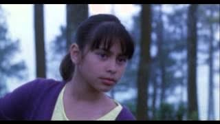 Indonesia Full Movie - King