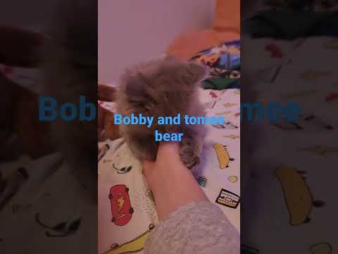 Bobby with Tomee
