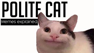 'Polite Cat' memes explained