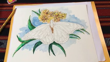 How to Draw and Paint a Butterfly