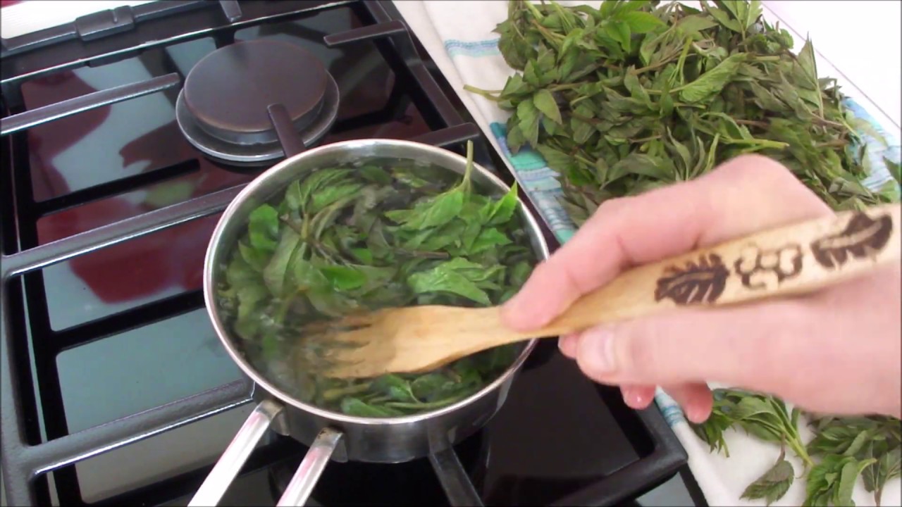 Нарвала сныти и приготовила 3 блюда. Вот что у меня получилось. 