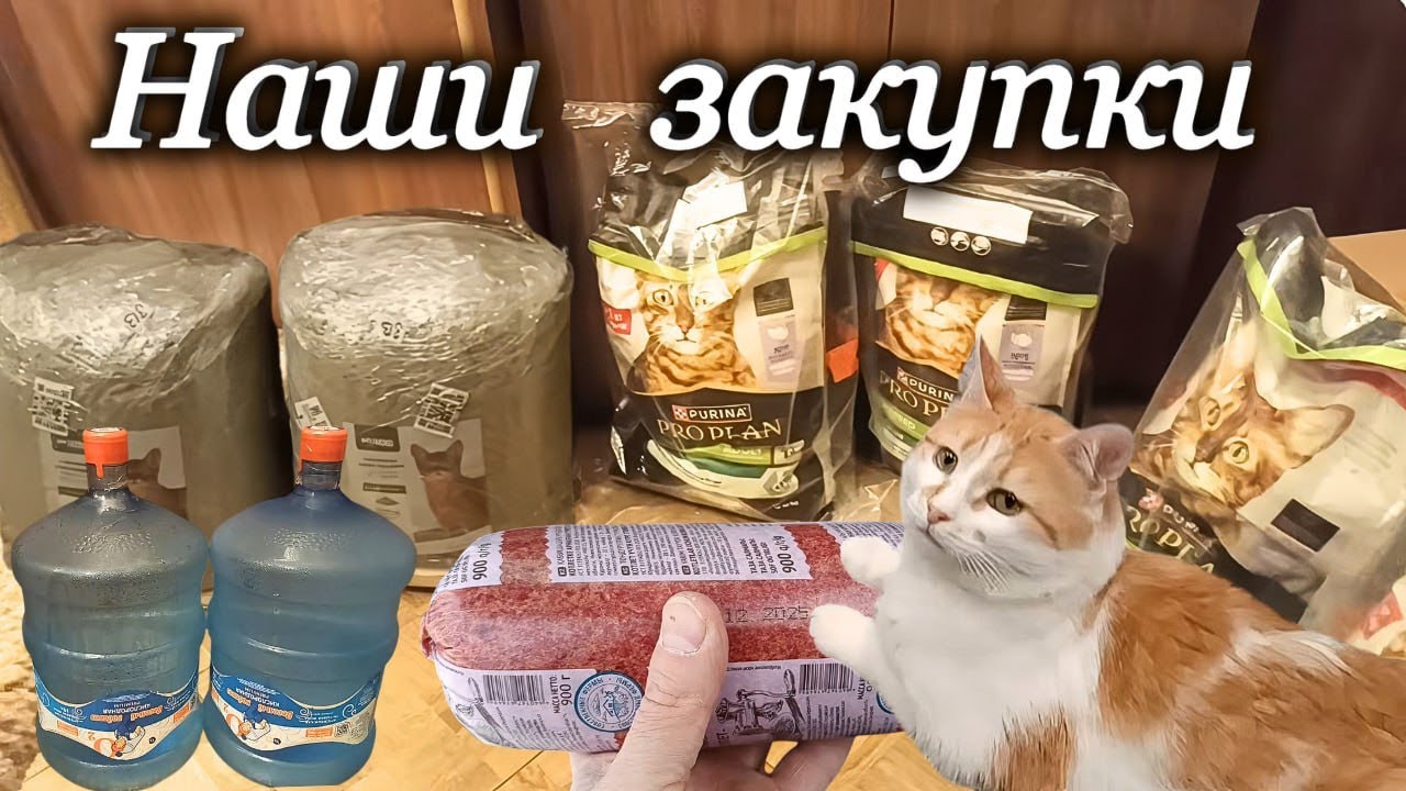 Наши закупки. 