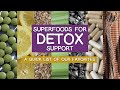 List of Superfoods for Detox Support, Top 7 Favorites