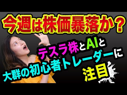 今週は、株価暴落か？【テスラ株で運命が決まる】電気自動車やAI自動運転と初心者トレーダーと投資信託やヘッジファンド