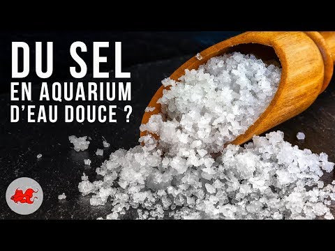 Traitement au sel en aquarium d&rsquo;eau douce