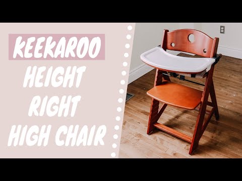 วีดีโอ: การทบทวน Highchair Highchair Highchair