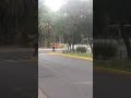 Avenida Alverdi!!!💪😎