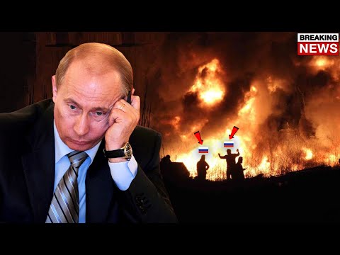 Video: Vasilkovyi neem die presidensiële regiment van die FSO van Rusland: beskrywing, geskiedenis en interessante feite