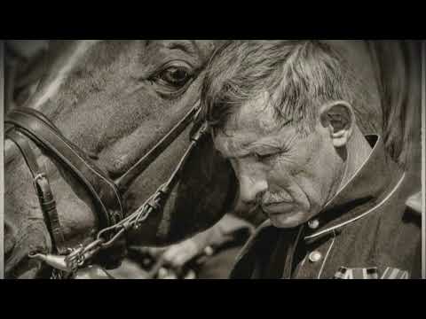 Пелагея  НЕ ДЛЯ ТЕБЯ   СТАРИННАЯ КАЗАЧЬЯ ПЕСНЯ