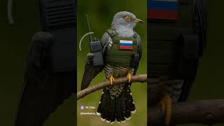 Зеля vs Кукушка