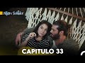 Pájaro soñador - Capitulo 33 (Audio Español) | Erkenci Kuş