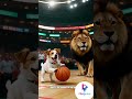 Lion Vs Dog.