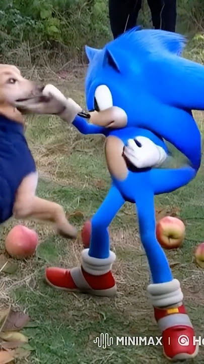 Sonic Steals the Chaos Emerald from Apple Dog! 🐶💎💨 #sonic3 #shorts  #4k