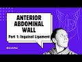 Anterior Abdominal Wall: PART 1 : Get Oriented & Inguinal Ligament