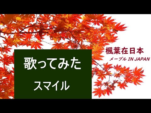 【楓葉歡唱】 スマイル - 森七菜【cover/原曲key/歌詞付き/歌ってみた】