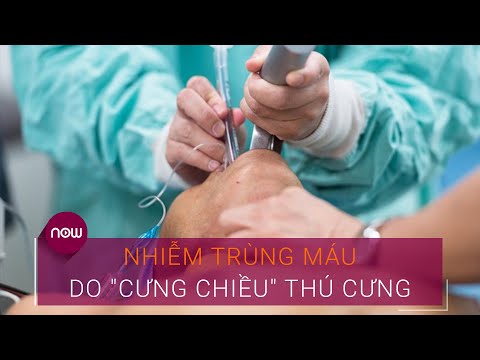 Video: Chó vui tươi có thể chơi tốt với trẻ em