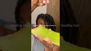Adding Aloe Vera for healthy locs 🌱 #aloevera #aloeveragel #healthylocs #healthyhair
