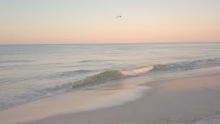 you finally found peace but now it's just you. ( playlist )
