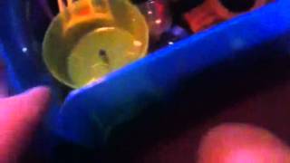 How To Make A Playbin For Your Hamster