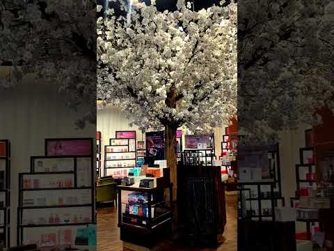 Walk through Dubai Festival City Mall #youtubeshorts#shortsvideo #uae
