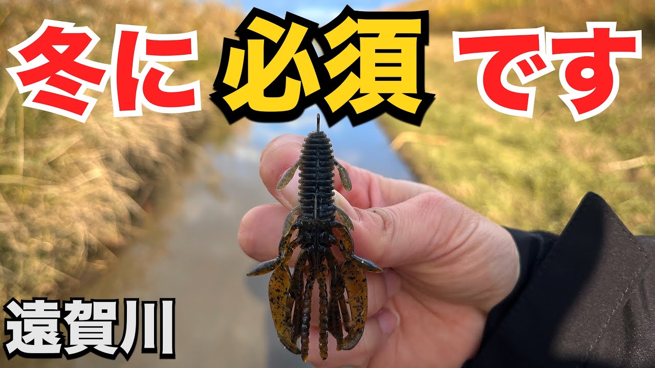 2025年1月〜必須のアクションはコレです。【バス釣り】 - YouTube