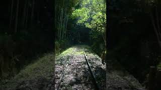 2022年9月23日 旧国鉄内子線 (廃線)