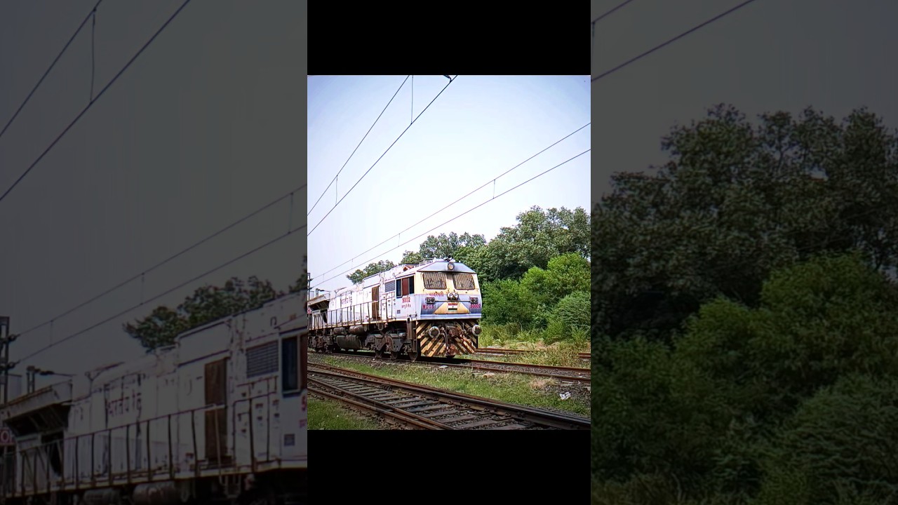 wag12 vs wdg5 😈 electric vs diesel 🔥 