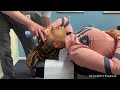 Nurse Handles Neck Pressure & Elbow DIGGING like a CHAMP! Sarasota, FL Chiropractor