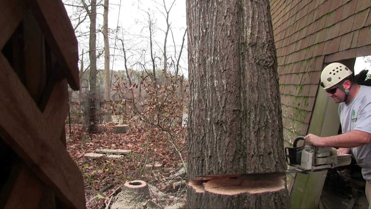 Rattlesnake Ridge YouTube