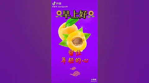 早上好 - 天天要闻