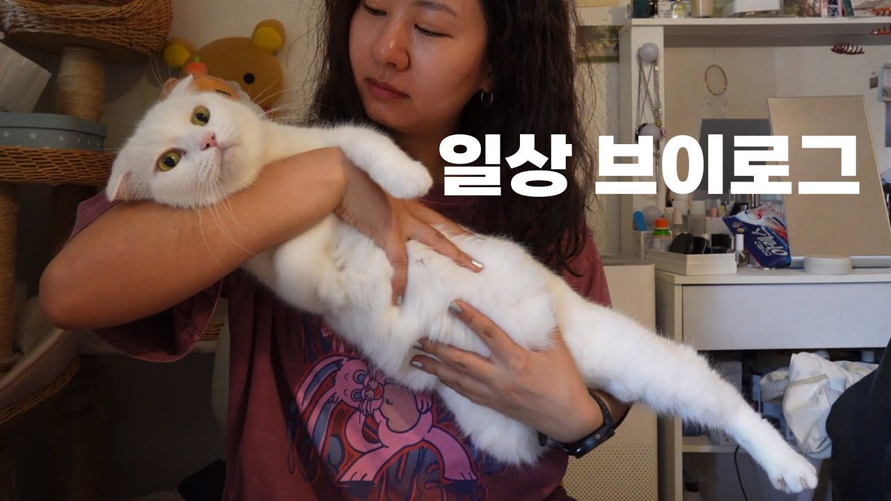 여름맞이 비공식 다이어트😍 + 형부의 특별공연🎤