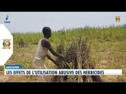 AGRICULTURE - Les effets de l'utilisation abusive des herbicides