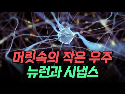 [핫클립] 머릿속의 작은 우주 뉴런과 <strong>시냅스</strong> / YTN 사이언스