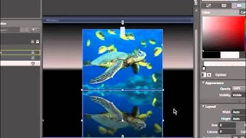 wpf wet floor effect in Microsoft Expression Blend 2