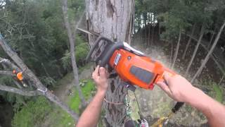 Helicopter Tree Removal