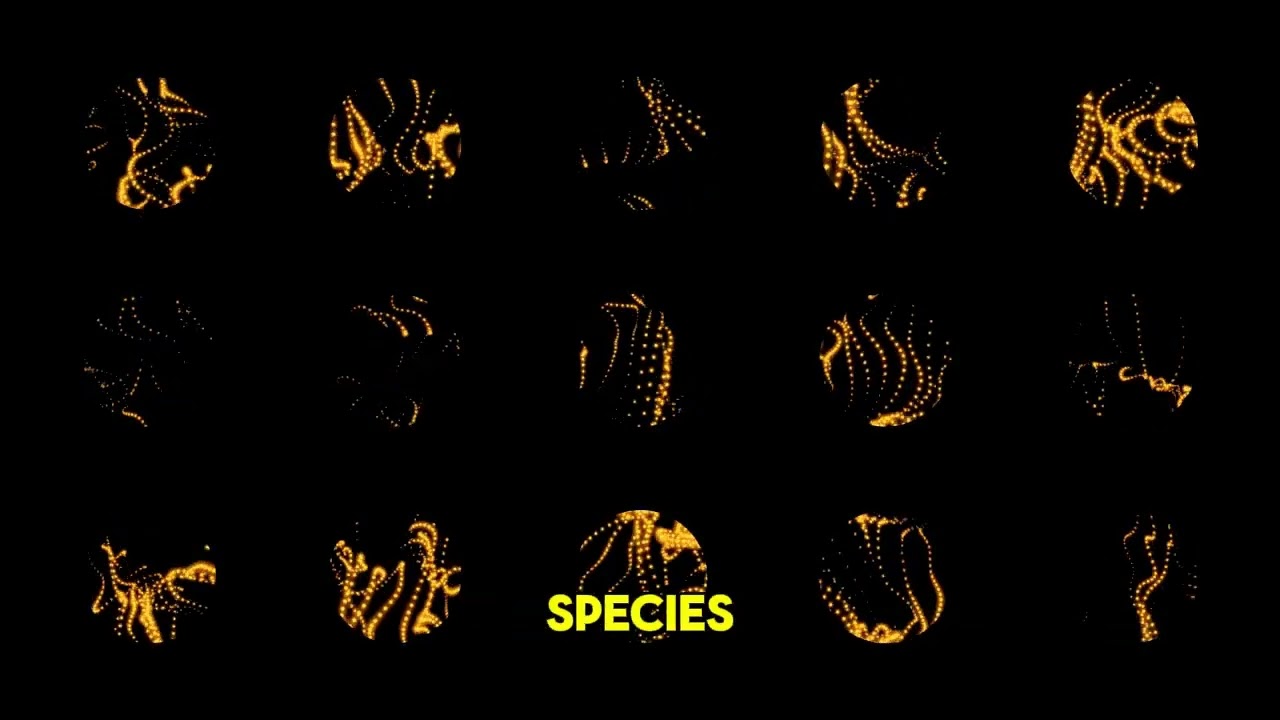 Why Jellyfish Glow in the Dark Explained Simply