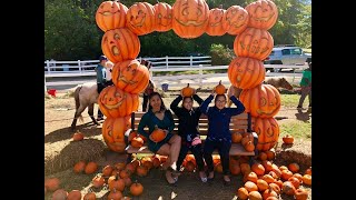 PUMPKIN PATCH 2018 | CARVING OUR PUMPKINS| HALLOWEEN COOKIES