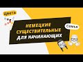 Немецкий для начинающих. 30 имён существительных на темы: цвета и семья